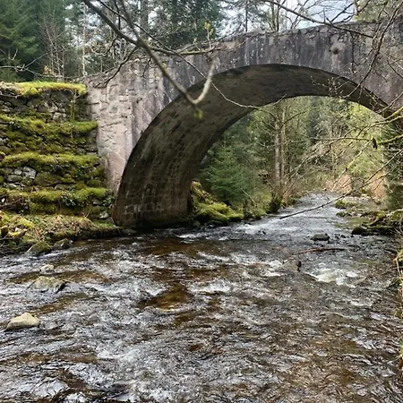 Apartment A Gerardmer